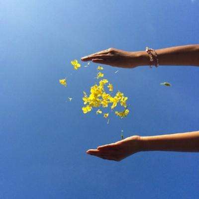 365体育手机版入口