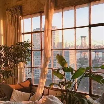 大发国际手机app下载