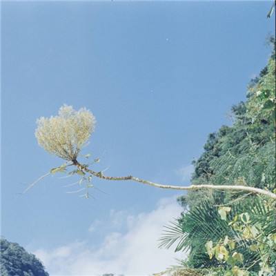 ag真人国际官网