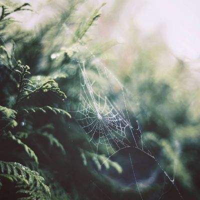 2023管家婆资料正版大全澳门app下载