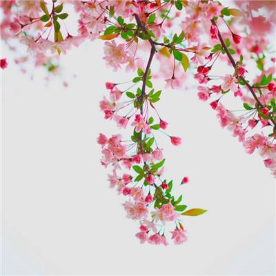 bat365在线唯一官网登录