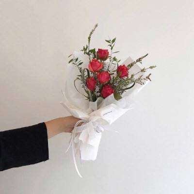 双彩网下载手机版